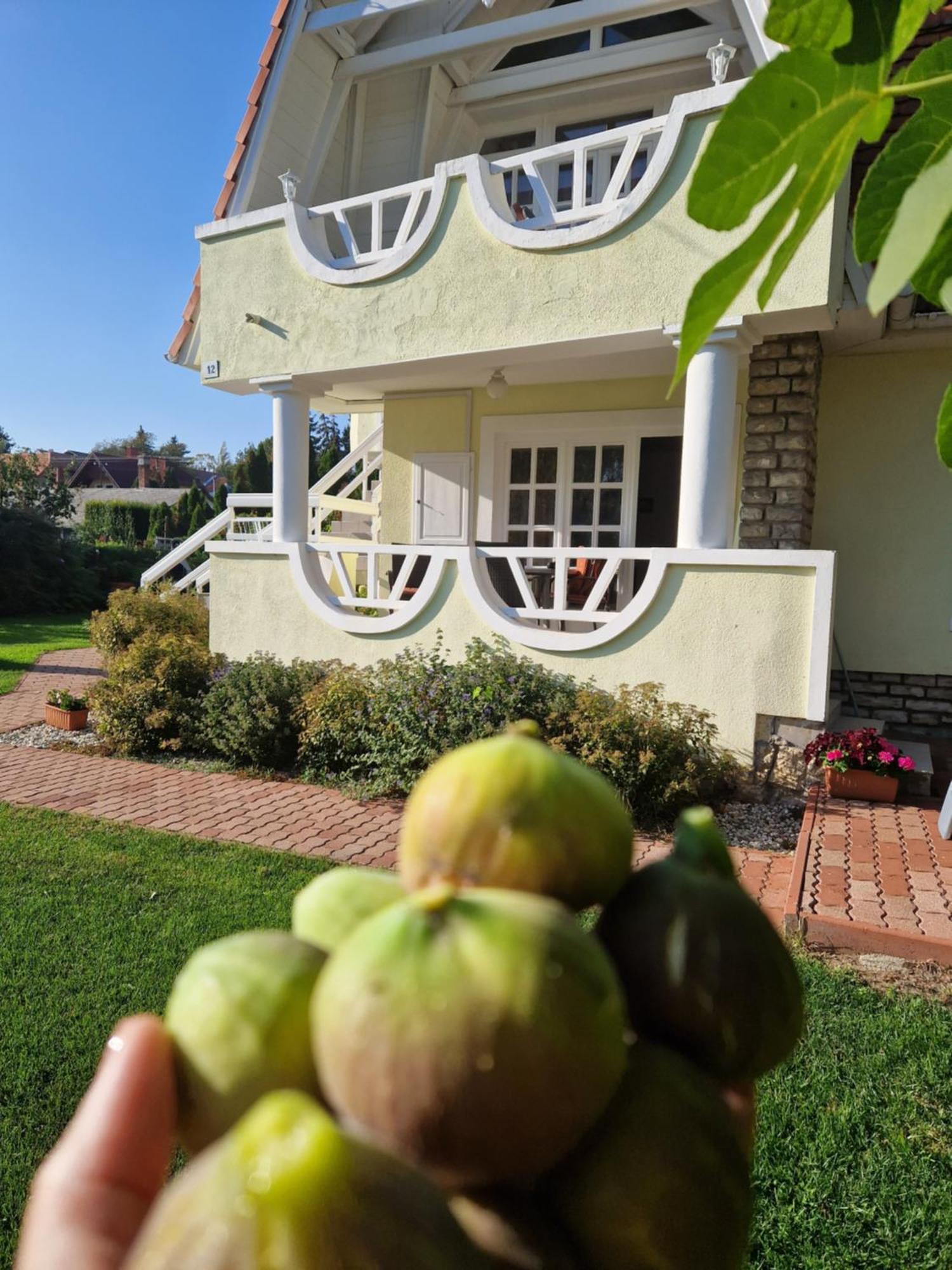 Balaton Apartman Füred Balatonfured Bagian luar foto